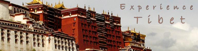 Welcome to Prestige Travels